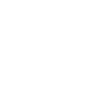 33 Meta Logo White