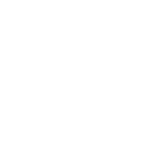 50 R Rabbit