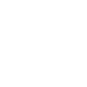55 Air Drobotics