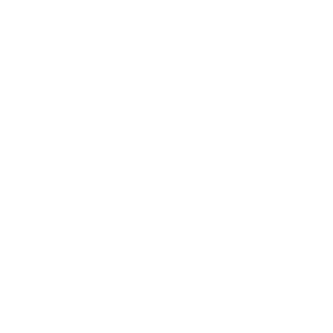 79 Reva