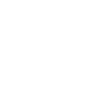 81 apollo