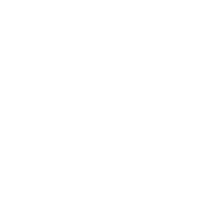 88-zeel.png