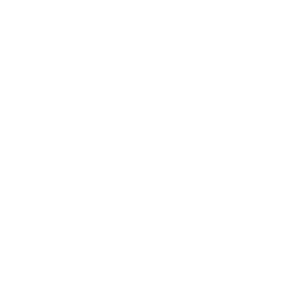 adani.png