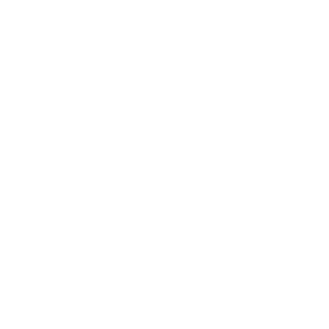 IDP School