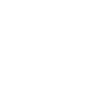 stelmec